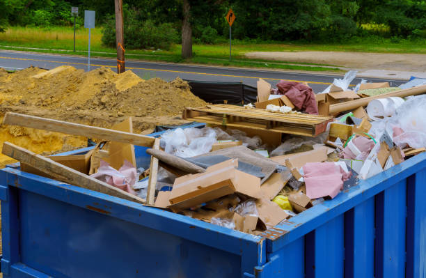 Best Shed Removal  in Holladay, UT